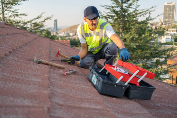 Best Steel Siding Installation  in Alpine, TX